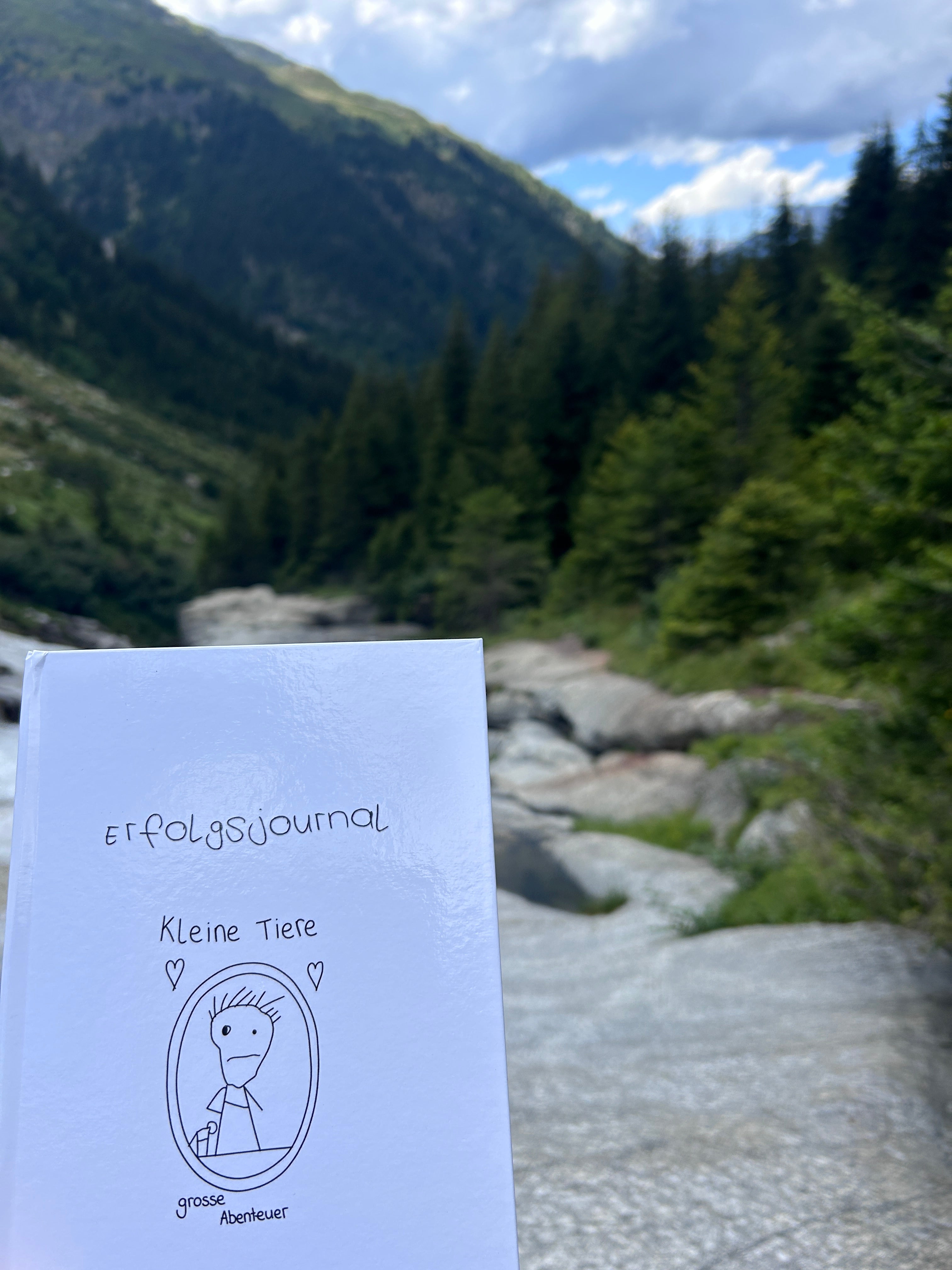 Erfolgsjournal
