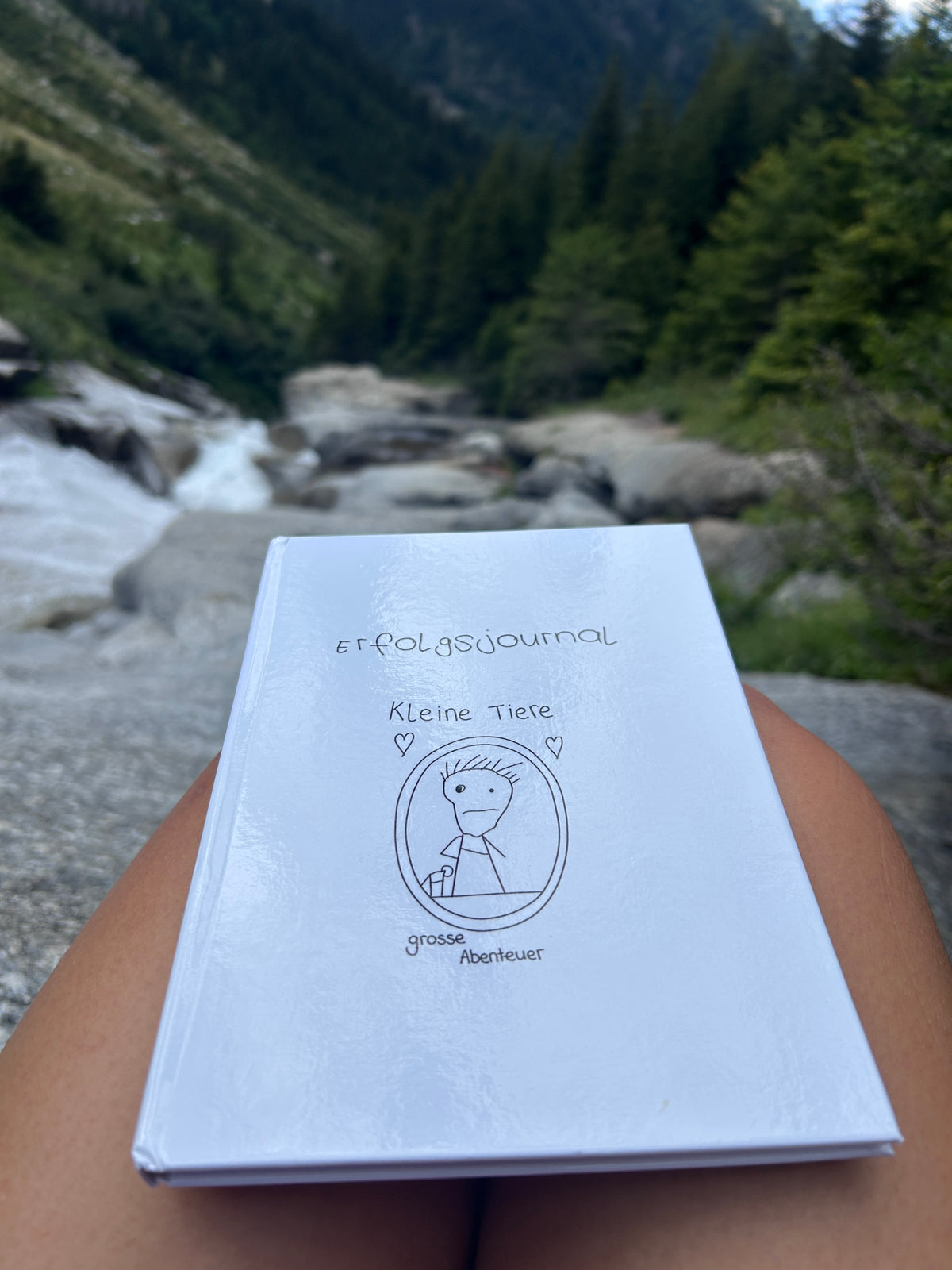 Erfolgsjournal