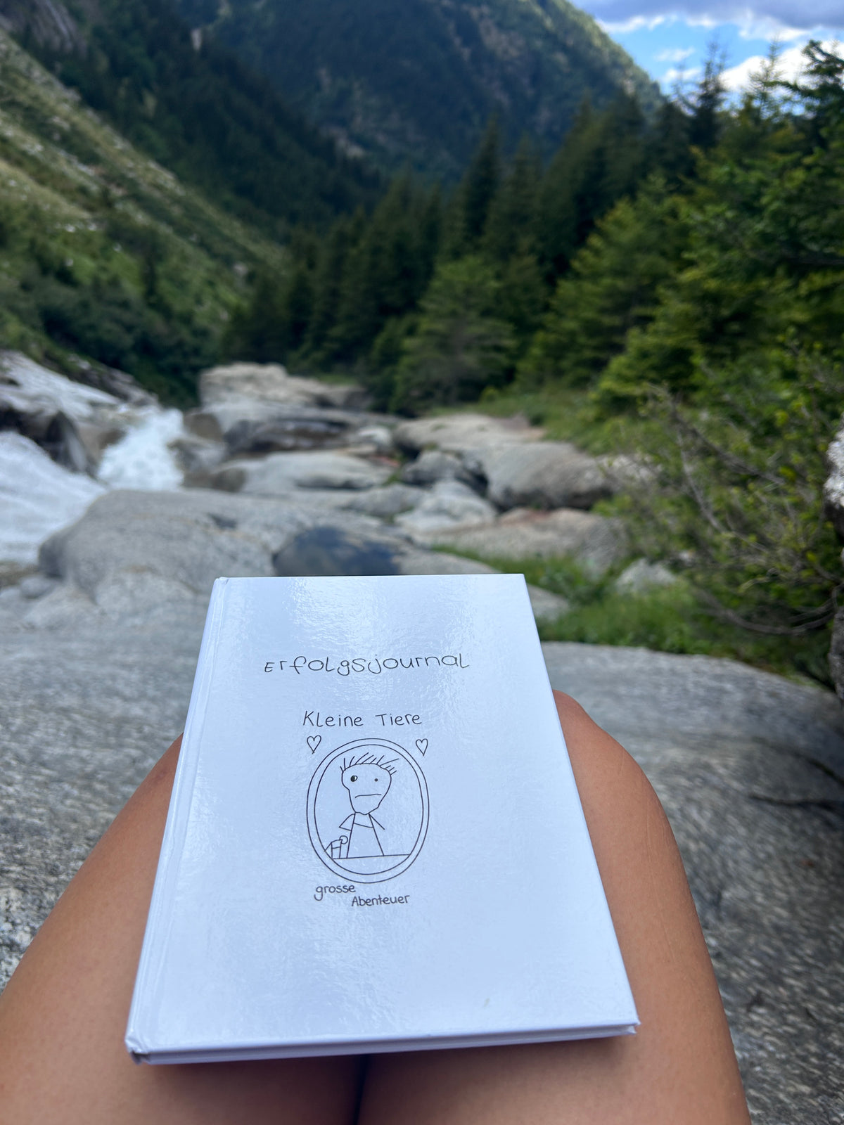 Erfolgsjournal