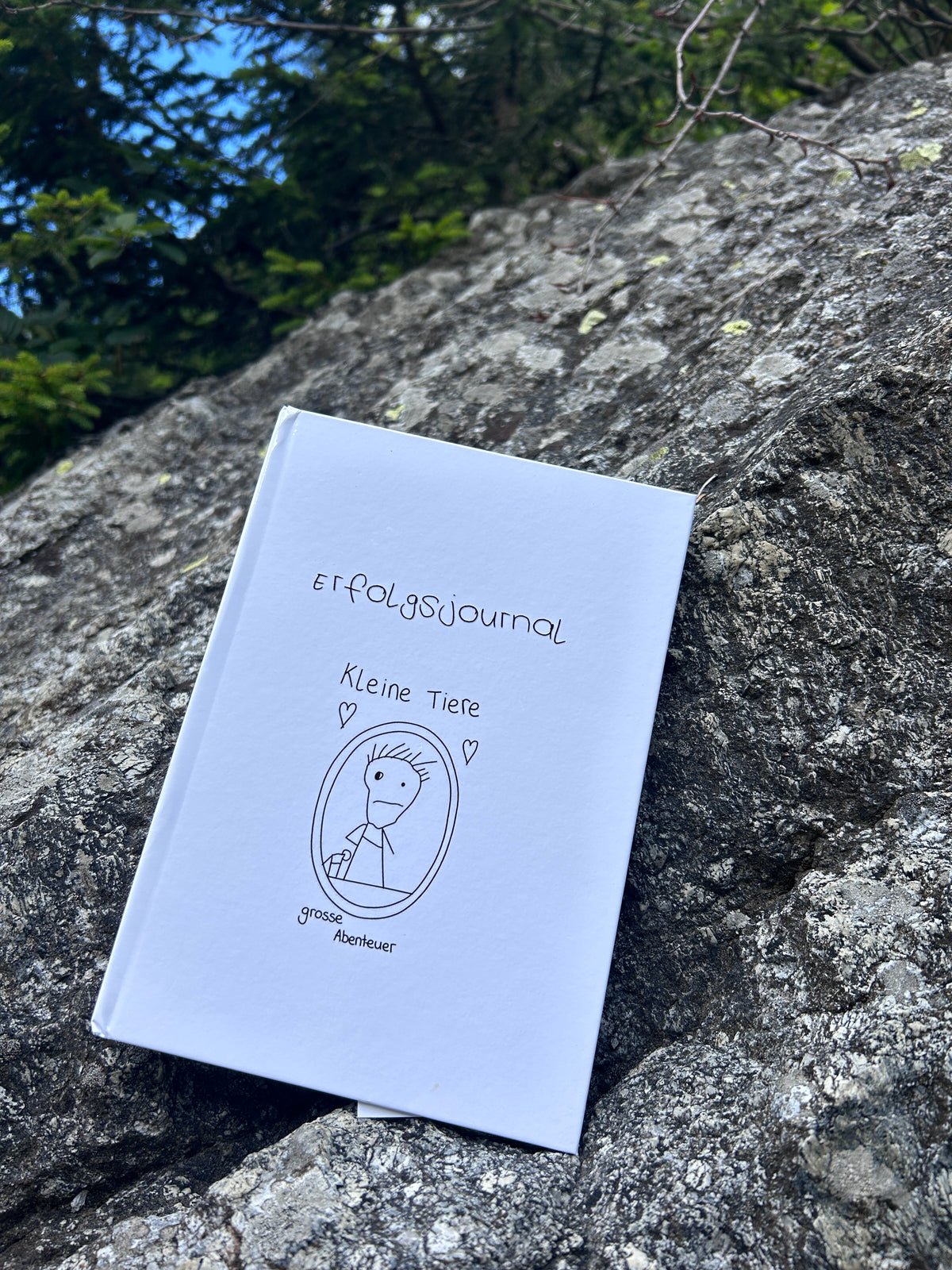Erfolgsjournal
