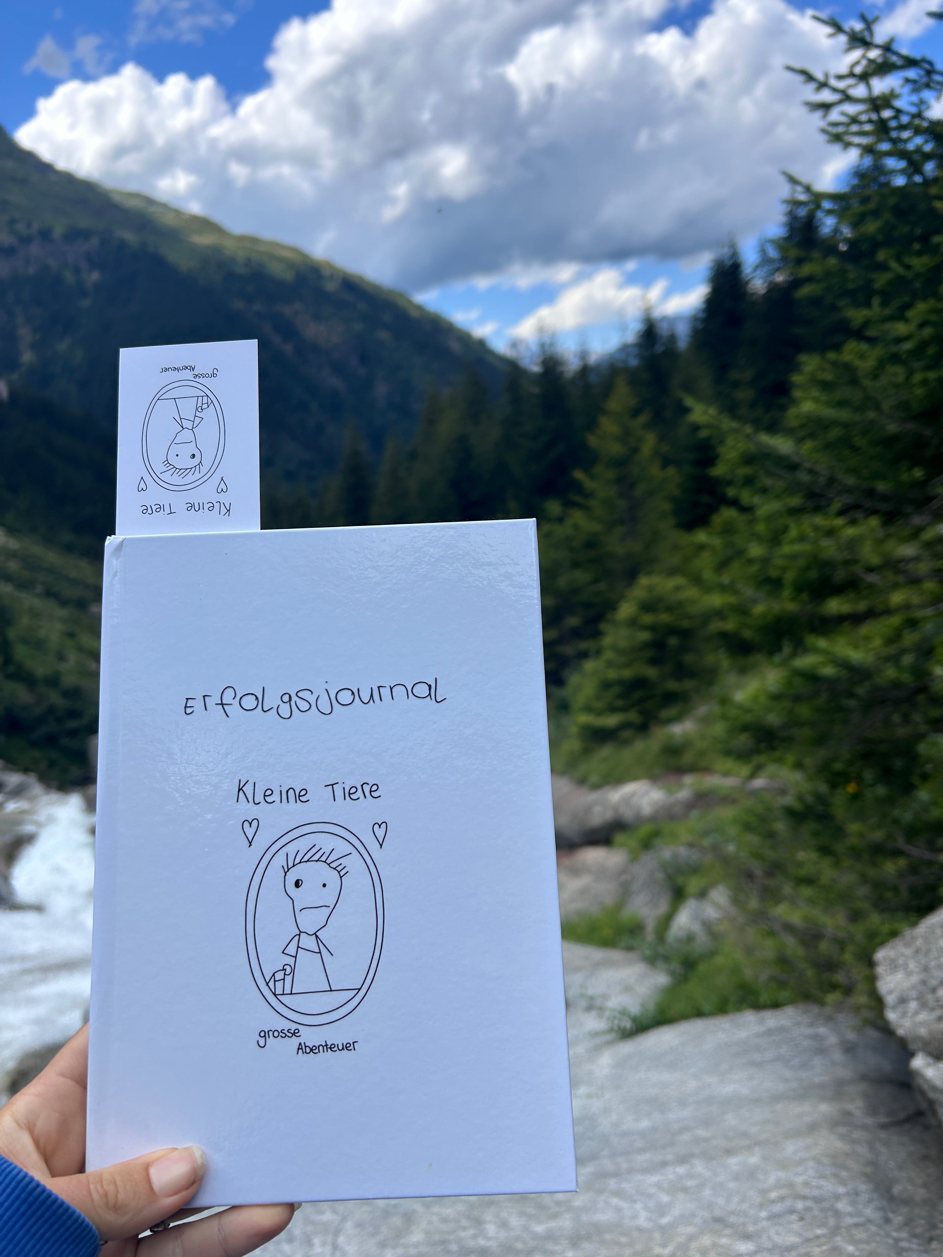 Erfolgsjournal
