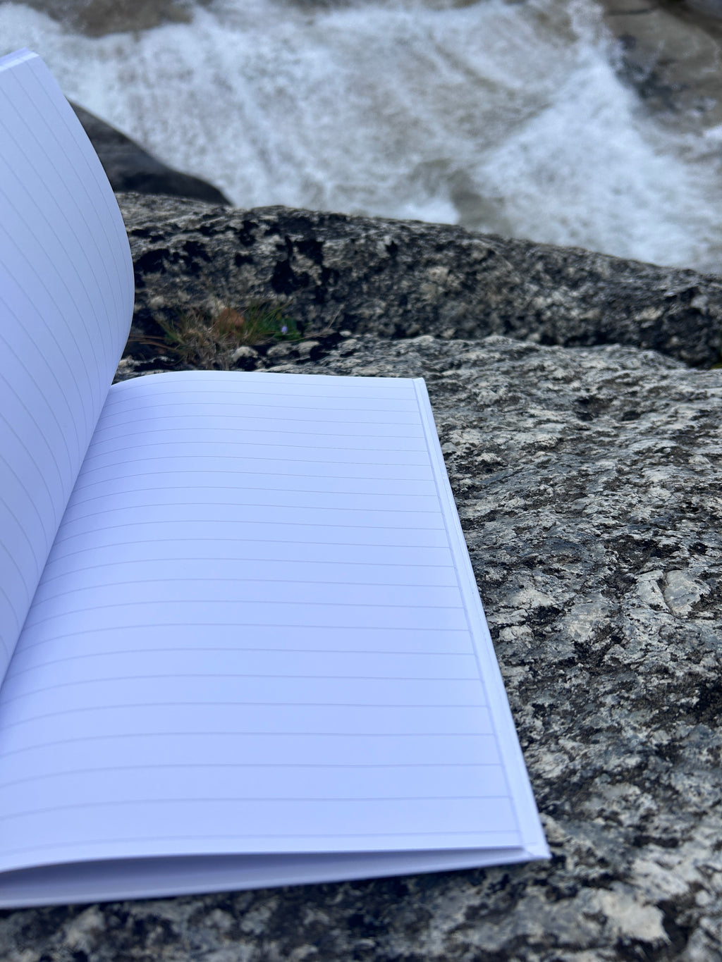 Erfolgsjournal