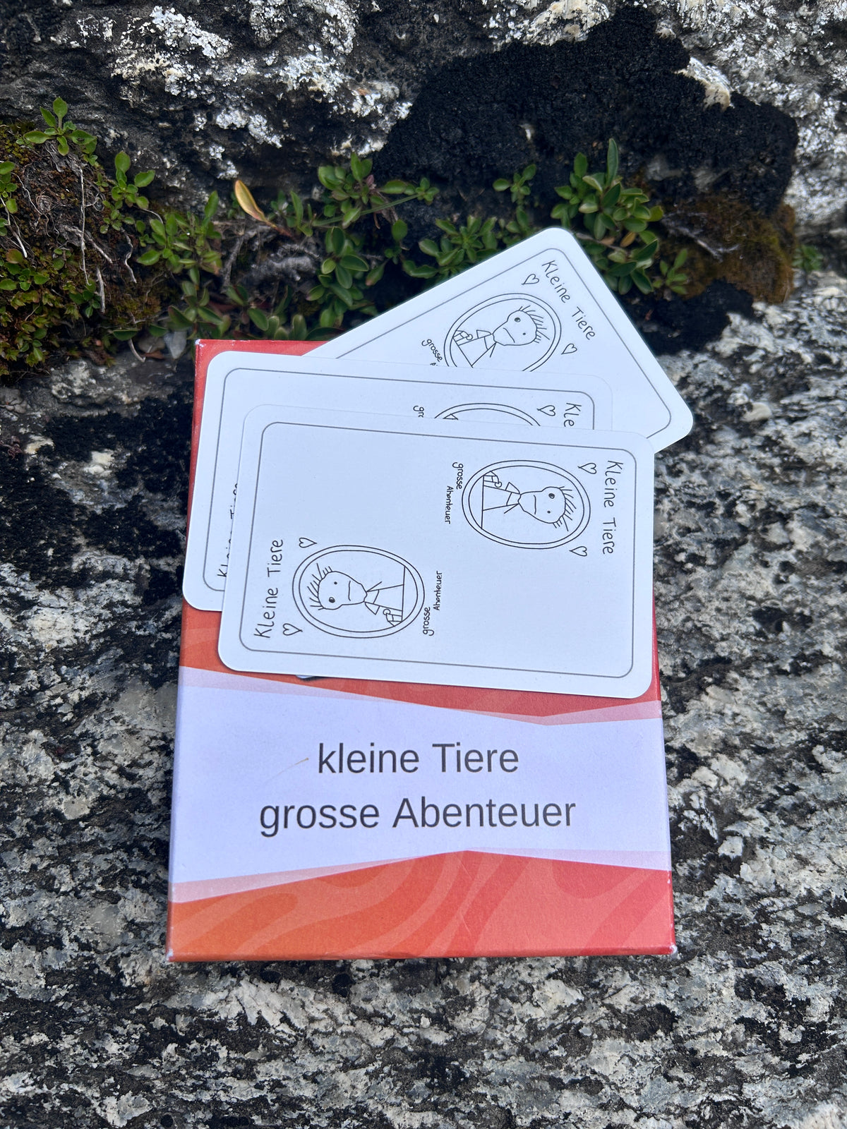 Die Pechkarte – Das lustige Kartenspiel für die ganze Familie