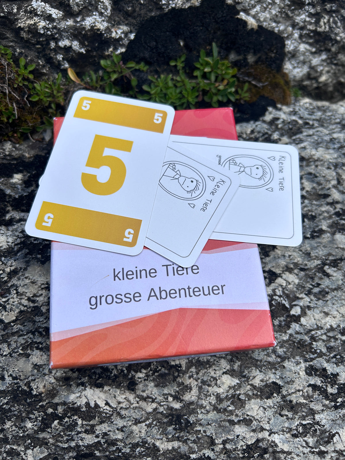UNO-Spiel – Der zeitlose Kartenspielklassiker für Gross und Klein