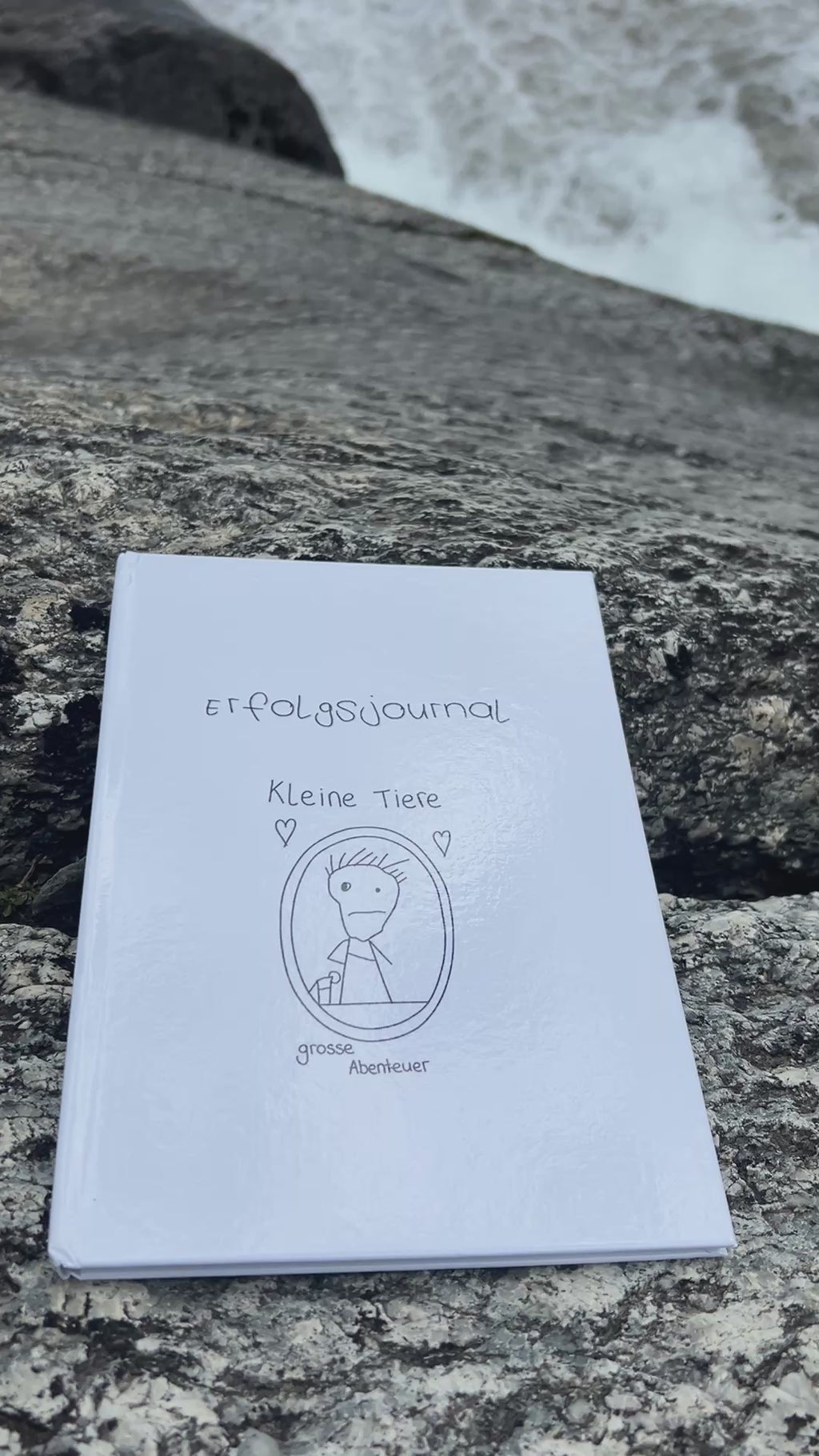 Erfolgsjournal