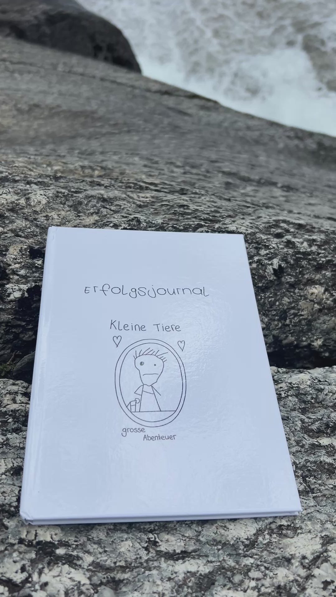 Erfolgsjournal